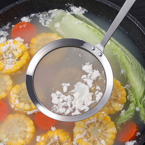 مصفاة شبكية دقيقة