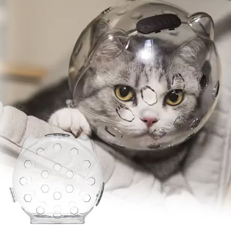 غطاء خوذه رأس لمنع عض القطط Cat Space