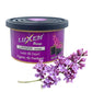 Luxen Breeze Air Fresheners For Car Home With Vented Lid Long Lasting Eco Friendly