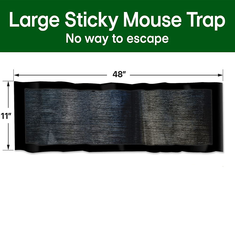 Sticky Mouse Trap